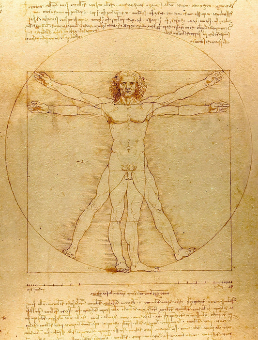 The Vitruvian Man - Leonardo da Vinci - Canvas, Metal, Acrylic, Framed, or Giclee Print