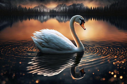 Swan on a Lake - Canvas, Metal, Acrylic, Framed, or Giclee Print